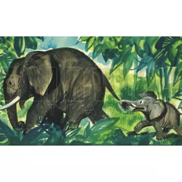 Diafilm - Jumbó, egy kis elefánt kalandjai