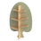 Erdő fali panel- juhar